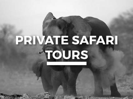 PRIVATE-SAFARI-bw