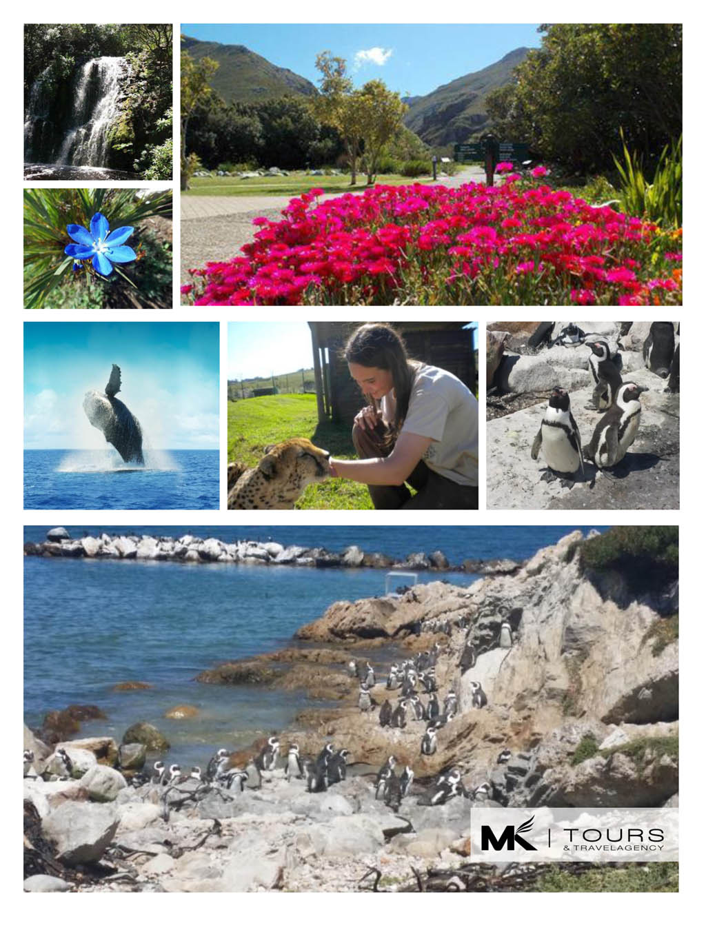 Overview Images