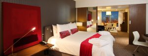 Radisson Blu Gautrain, Executive / Private Chauffeur Driver - Accommodation - City Tours